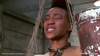 Ebony Slave Trainee Nikki Darling Is Bound In Web Of Zipperes And Gets Whipped And Pussy Vibrated Then Made Suck Huge Cock To Gimp Rob Blu thumbnail